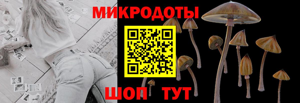 Псилоцибиновые грибы Cubensis  Вход с VPN  Чехов  что такое наркотик  Галлюциногенные грибы прущие грибы 